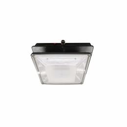 40W LED Canopy Light w/ 0 Deg Backup, Parking Distribution, 4716 lm, 120V-277V, 5000K