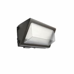 28W LED Open Face Wall Pack, 32F Battery Backup, 3704 lm, 120V-277V