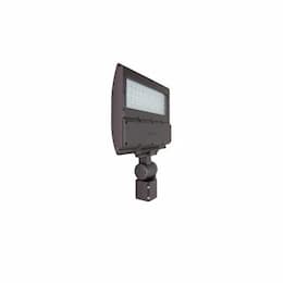 12-in 100W LED Flood Light, Medium, 12683 lm, 120V-277V, 5000K, Bronze