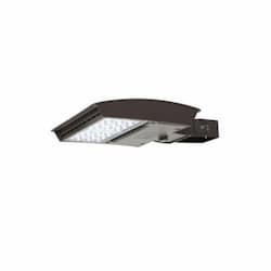 55W LED Area Light, Narrow, Trunnion, C-Max, 277V-480V, CCT Select