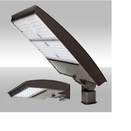 200W LED Area Light w/ Trunnion, Wide, 277V-480V, Selectable CCT, BRZ