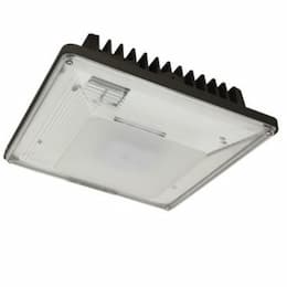 20W LED Low Profile Canopy w/ Motion, 0-10V Dim, 100W MH Retrofit, 2,200 lm, 5000K