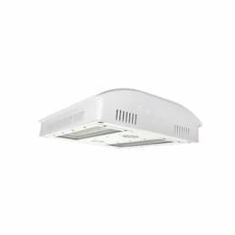 591W LED Horticulture Light, FSRF, 2017.9 BTU, 120V-277V, White