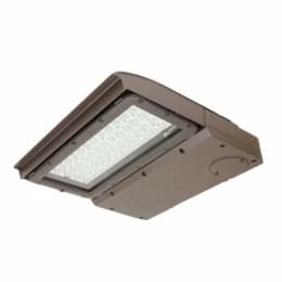 250W LED Area Light, Type III, 0-10V Dim, 400W PSMH Retrofit, 31525 lm, 3000K, Bronze