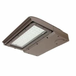 250W LED Area Light, Type III, 0-10V Dim, 750W PSMH Retrofit, 36440 lm, 3000K, Bronze