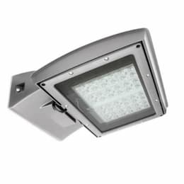 55W LED Shoebox Area Light, Type IV, 0-10V Dim, 250W MH Retrofit, 6250 lm, 3000K, Silver