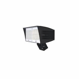 200W LED XLarge Flood Light w/ Trunnion & 7-Pin, Dim, 29500 lm, 4000K