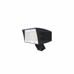 200W LED XLarge Flood Light w/ Trunnion Mount & 7-Pin Receptacle, Dim, 29500 lm, 5000K