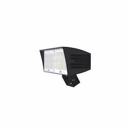 200W LED XLarge Flood Light w/ Trunnion & 7-Pin, Dim, 29500 lm, 5000K