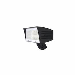 310W LED XLarge Flood Light w/ Trunnion & 7-Pin, Dim, Wide, 39600 lm, 4000K