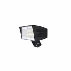 310W LED XLarge Flood Light w/ Trunnion & 7-Pin, Dim, 41568 lm, 5000K