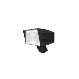 310W LED XLarge Flood Light w/ Trunnion & 3-Pin, Dim, 41568 lm, 5000K