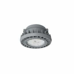 45W Hazard Rated LED High/Low Bay Light, 100W MH Retrofit, 6685 lm, 5000K, Grey