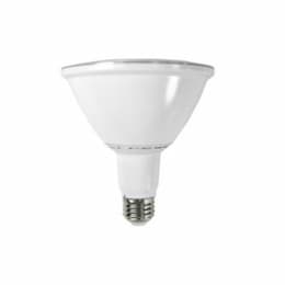 17W 2700K Dimmable, Flood Lamp, Wet Location, PAR38