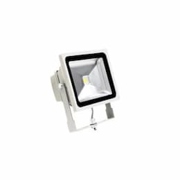 50W LED Small Flood Light, 250W MH Retrofit, 5315 lm, 4000K, White