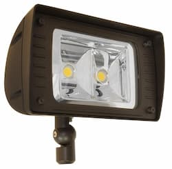 50W LED Flood Light, 175W MH Retrofit, 5660 lm