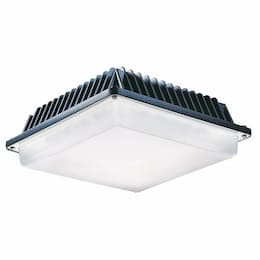 White, Battery Backup, 25W LED Canopy Light, 2795 Lumens, 277V, Dimmable