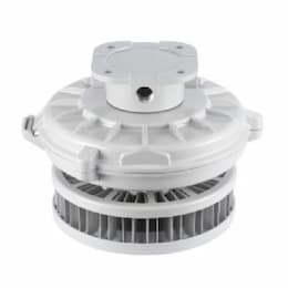 140W Hazard Rated LED High Bay, 250W MH Retrofit, 13260 lm, Ceiling/Wall Mount, 480V