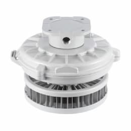 170W Hazard Rated LED High Bay, 400W MH Retrofit, 15470 lm, Ceiling/Wall Mount, 480V