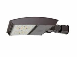 100W LED M Area Lights, T3G, C-Max, Slipfitter, 277-480V, Select