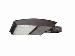 100W LED Flood Light, Narrow, Trunnion, 120V-277V, CCT Select