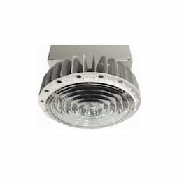 150W 5000K LED Round Pendant High Bay, Narrow Flood