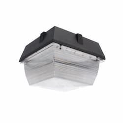 40W LED Canopy Ceiling Mount Light, 3429 lm, 5000K, Bronze