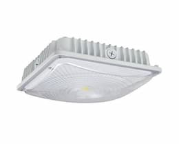 28W 5000K Slim LED Canopy Light, White