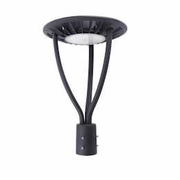 20W/28W/34W LED Post Top Light, Dim, 100V-277V, CCT Selectable, Black