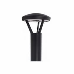 NaturaLED LED Pathway Light, Type 5,  Selectable Watts, Lumens & CCT, Black