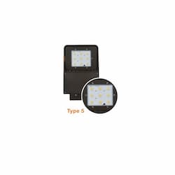 Type 5 Lens for Slim Area Light, 29W-100W