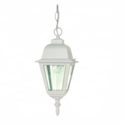 10" Briton Hanging Lantern Light, Clear Glass, White