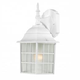 14" Adams Outdoor Wall Light, Frosted Glass