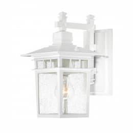 100W 12" Cove Neck Outdoor Wall Lantern, White