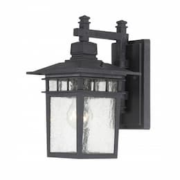 100W 12" Cove Neck Outdoor Wall Lantern, Black