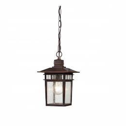 Nuvo 100W 12" Cove Neck Outdoor Hanging Lantern, Bronze