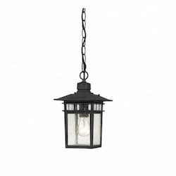 Nuvo 100W 12" Cove Neck Outdoor Hanging Lantern, Black