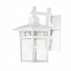 Nuvo 100W 14" Cove Neck Outdoor Wall Lantern, White