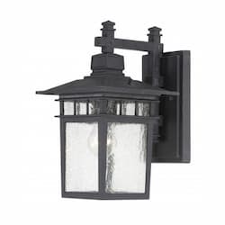 Nuvo 100W 14" Cove Neck Outdoor Wall Lantern, Black