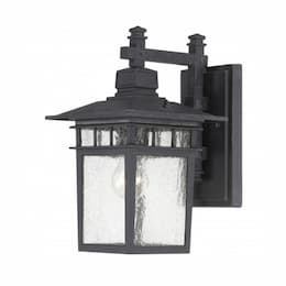 100W 14" Cove Neck Outdoor Wall Lantern, Black