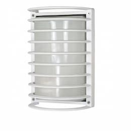 10-in Bulk Head Fixture, Rectangle Cage , White