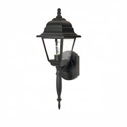18" Briton Outdoor Wall Lantern Light, Clear Glass, Textured Black
