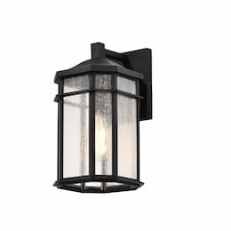 14-in Raiden Small Outdoor Lantern Fixture w/o Bulb, 120V, Matte Black