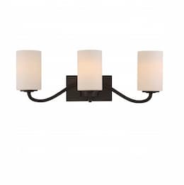 300W Willow Vanity Light Fixture, 3-Light, Forest Bronze