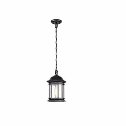 Nuvo 12-in Hopkins Outdoor Hanging Lantern Fixture w/o Bulb, 120V, MB