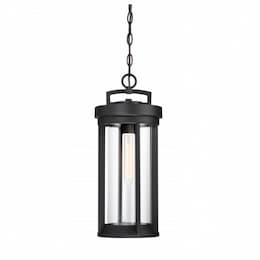 60W, Huron Hanging Lantern Light, Aged Bronze and Clear Glass