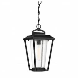 60W Lakeview Hanging Lantern Light, Aged Bronze Finish, Clear Seed Glass