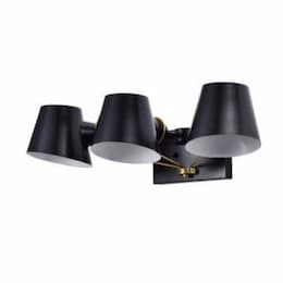 60W Baxter Vanity Light, 3 Lights, Black w/Burnished Brass, 110V