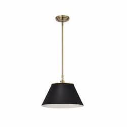 60W  Dover Pendant, 110V, Black/Vintage Brass, Medium