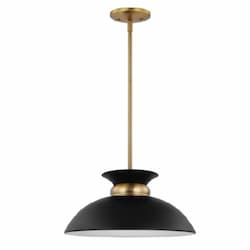 Nuvo 100W Perkins Pendant, 1-Light, 120V, Black/Burnished Brass, Small